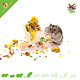 Knaagdierwinkel® Hamsterscaping Deco Carretilla de Madera 11 cm