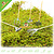 Knaagdierwinkel® Outils pour l'aménagement paysager du jardin Hamsterscaping