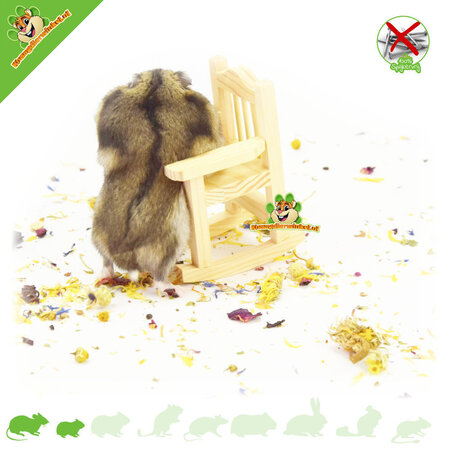 Knaagdierwinkel® Chaise Déco en Bois Hamsterscaping 9 cm