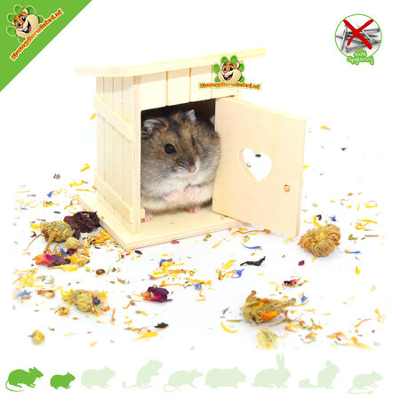 Knaagdierwinkel® Hamsterscaping Deco Dixie aus Holz 8 cm