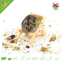 Hamsterscaping Deco Silla plegable de madera 9,5 cm