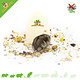 Knaagdierwinkel® Hamsterscaping Deco Puerta al País de los Cuentos de Hadas 13 cm