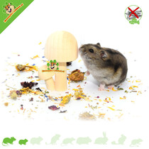 Hamsterscaping Déco Champignons en Bois 8,5 cm