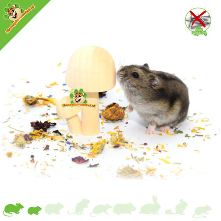 Knaagdierwinkel® Hamsterscaping Déco Champignons en Bois 8,5 cm