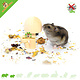 Knaagdierwinkel® Drewniane grzyby dekoracyjne do chomików 8,5 cm