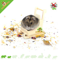 Hamsterscaping Deco Houten Slee 9 cm