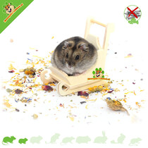 Hamsterscaping Deco Trineo de Madera 9 cm