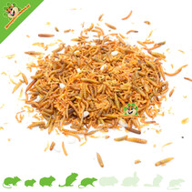 Insect mix Pot 155 grams