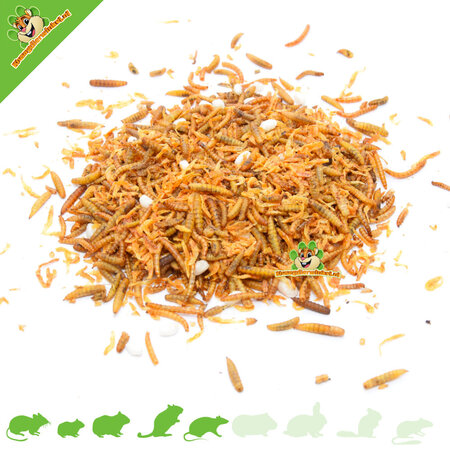 Knaagdierwinkel® Insect mix