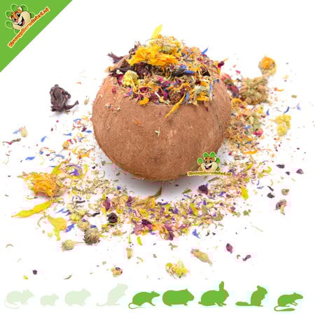 Knaagdierwinkel® Coconut 12 cm for Rodents & Rabbits!