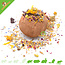 Knaagdierwinkel® Kokosnuss 12 cm für Nagetiere und Kaninchen
