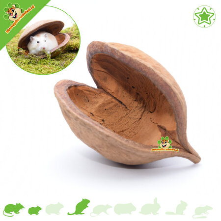 Knaagdierwinkel® Buddha-Nuss für Nagetiere!