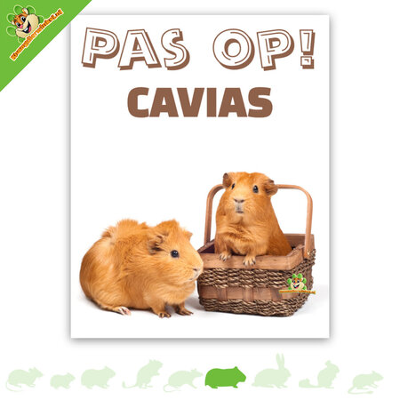 Knaagdierwinkel® Tablero de observación de cobayas