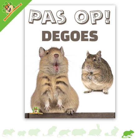 Knaagdierwinkel® Watching sign Degus