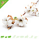 Knaagdierwinkel® Cotton branches with bulbs