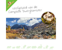 HD-Terrarium-Hintergrund Campbell-Zwerghamster