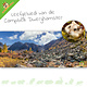 Knaagdierwinkel® HD Terrarium Background Habitat of the Campbelli Dwarf Hamster