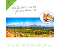 HD-Terrarium-Hintergrund: Lebensraum des Syrischen Hamsters