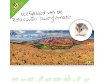 HD Terrarium Background Habitat of the Roborovski Dwarf Hamster