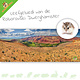 Knaagdierwinkel® HD Terrarium Achtergrond Leefgebied van de Roborovski Dwerghamster