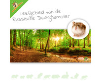 HD Terrarium Background Habitat of the Russian Dwarf Hamster