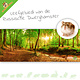 Knaagdierwinkel® Fond de terrarium HD Habitat du hamster nain russe