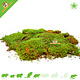 Knaagdierwinkel® Dried Moss for Hamsterscaping & Gerbilscaping
