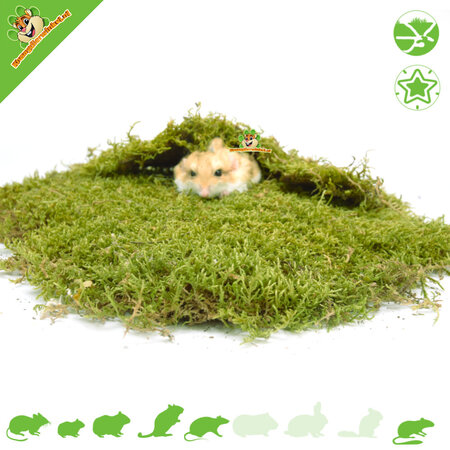Knaagdierwinkel® Gedroogd Mos voor Hamsterscaping & Gerbilscaping