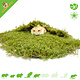Knaagdierwinkel® Gedroogd Mos 400 gram voor Hamsterscaping & Gerbilscaping