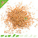 Knaagdierwinkel® Dried Mealworms