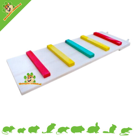Knaagdierwinkel® Escaleras de Madera Color 50 cm