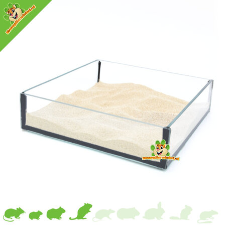 Knaagdierwinkel® Sandschale aus Glas, quadratisch, 20 cm