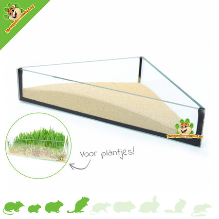Knaagdierwinkel® Cuenco de Arena de Vidrio Triángulo 20 cm
