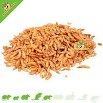 Gammarus-Wasserkrebs, 80 Gramm