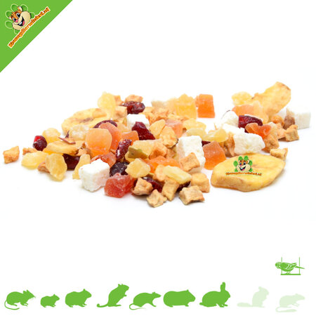 Knaagdierwinkel® Fruit mix for Rodents & Birds