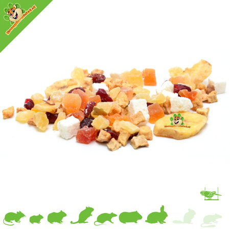 Knaagdierwinkel® Fruitmix voor Knaagdieren & Vogels