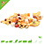 Knaagdierwinkel® Fruchtmischung 200 Gramm