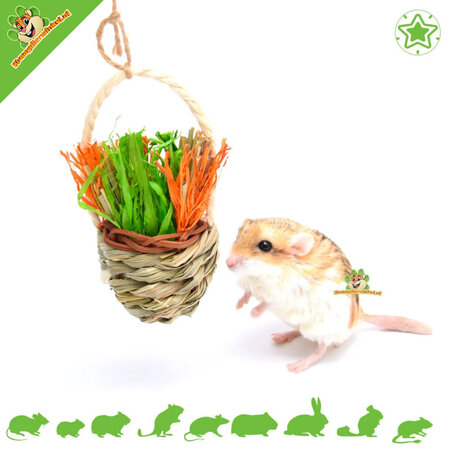 Quapas! Festlicher Knabberkorb für Nager und Kaninchen!