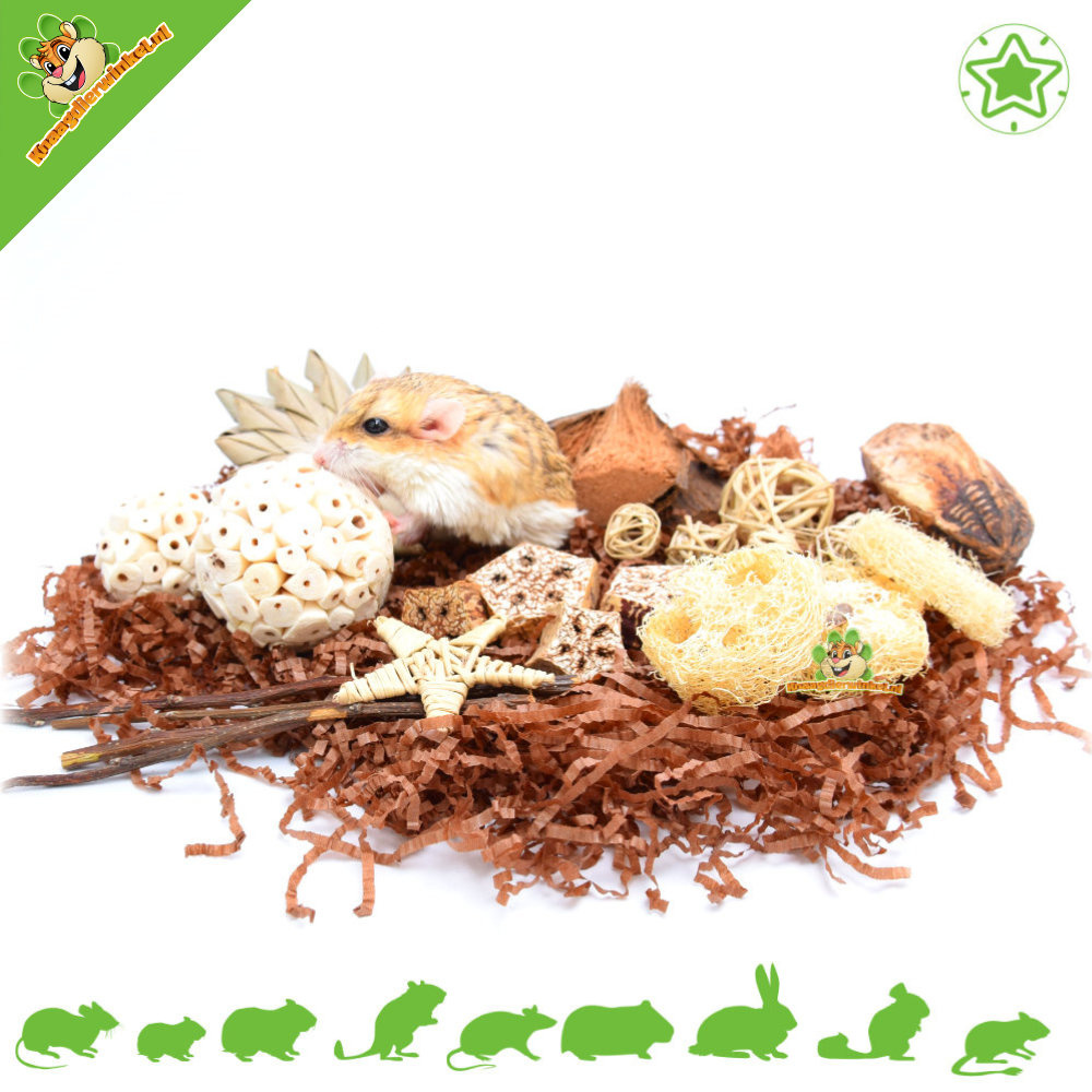 Quapas! Paquete de regalo natural: jardinería para hámsters y diversión