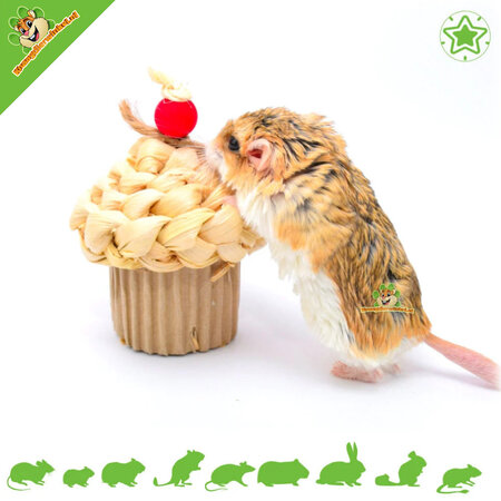 Quapas! Nager-Cupcake 14 cm