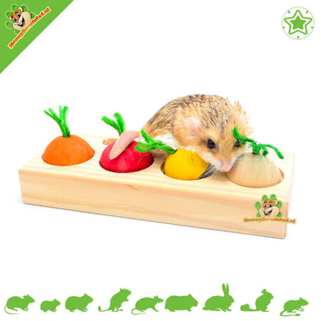 Quapas! Nager-Veggie-Snack-Puzzle aus Holz, 21 cm, für Nager und Kaninchen