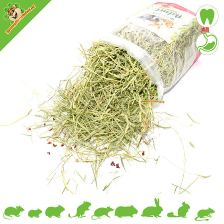 Versele-Laga Nature Timothy Hay Rote Bete & Tomate 500 Gramm