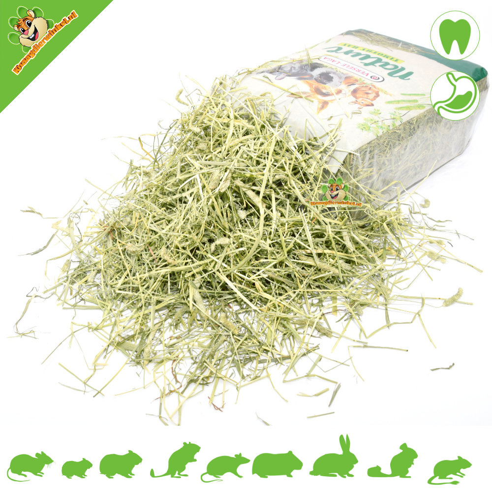 Versele-Laga ¡Heno Timothy Nature de 1 kg para roedores y conejos!