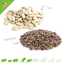 Sunflower seeds 600 grams