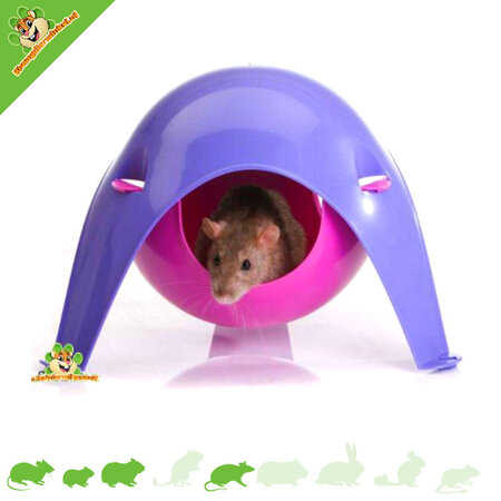 Savic ¡Sputnik XL morado/rosa de 29 cm para roedores!