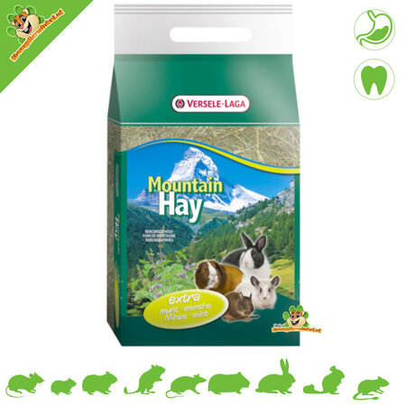 Versele-Laga Mountain meadow hay Mint 500 grams