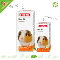 Gouttes de vitamine C pour cobayes