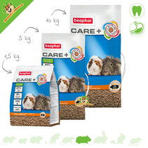 Care+ Cavia