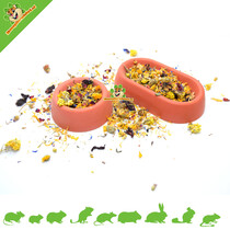 Concrete Feeder for Rodents & Rabbits