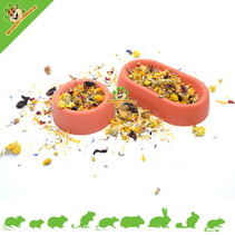 Concrete Feeder for Rodents & Rabbits